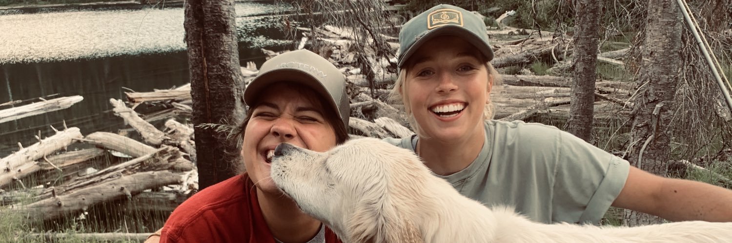 BigginsEllie's profile banner image