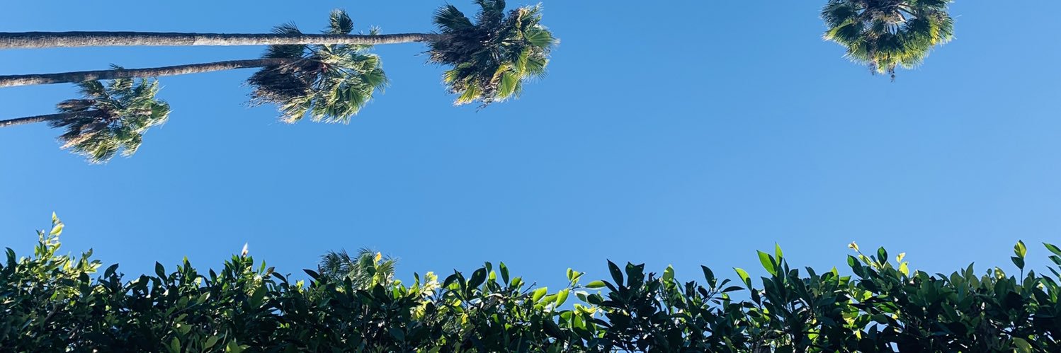 jessdvila's profile banner image
