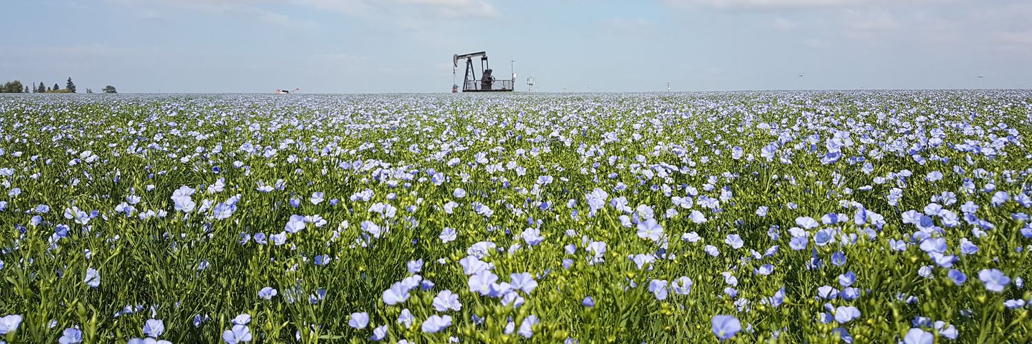 David🌾Kucher banner