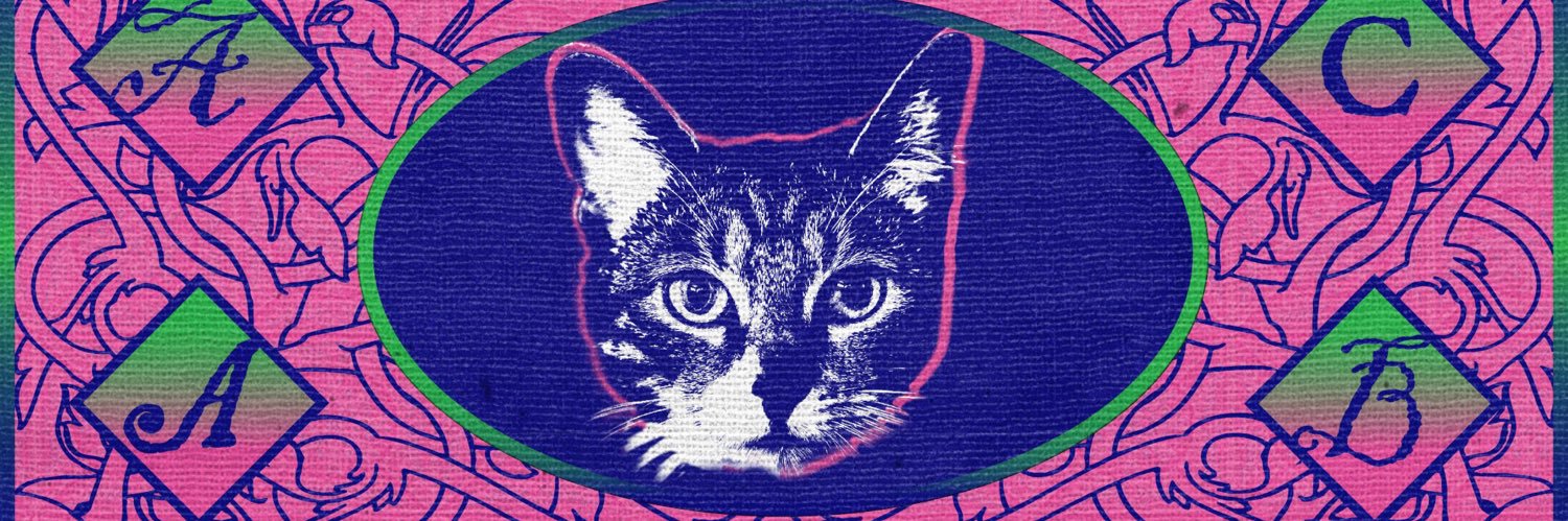 tipustikus's profile banner image