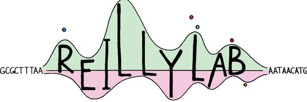 ReillyLikesIt Profile Banner