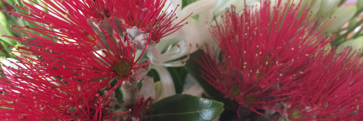 Rachel Rosler banner