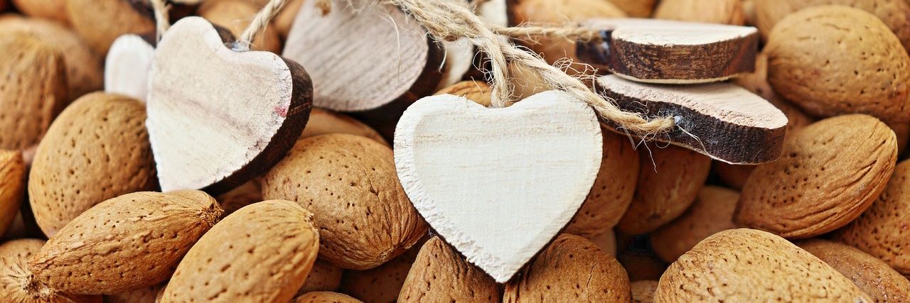 𝑴𝒐𝒏𝒅 banner