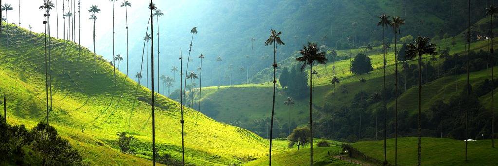 Amantes del Fútbol banner