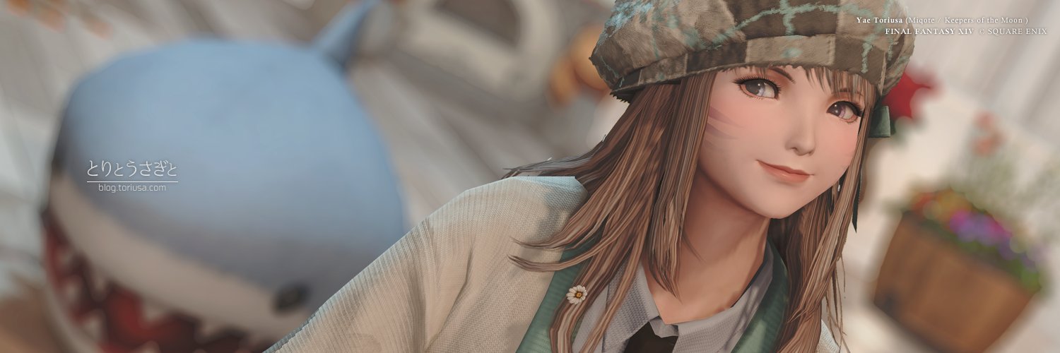 yae_toriusa's profile banner image
