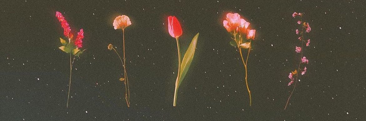 savayy1's profile banner image