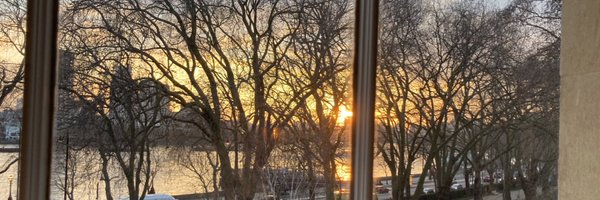 CressidaThomas Profile Banner