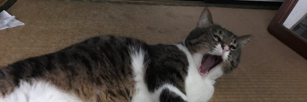 mmnkmrt's profile banner image