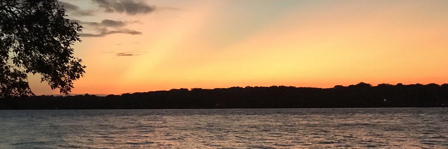 roniperez42's profile banner image