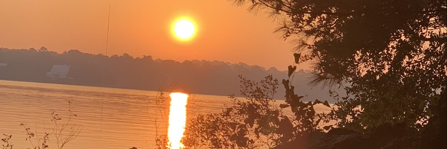 dukdog12's profile banner image