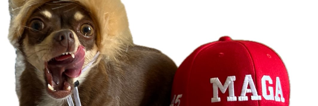 Nickatnight43's profile banner image