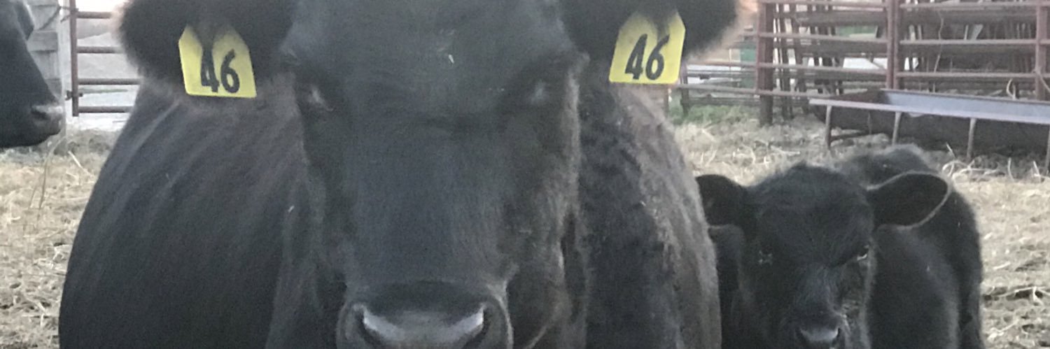 AutenHuss's profile banner image