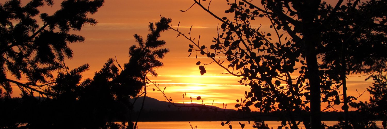 carolynduthie's profile banner image
