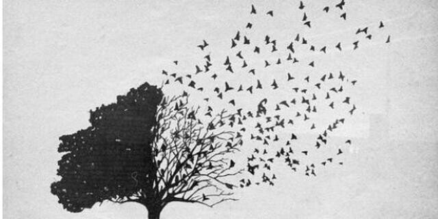 altoo__'s profile banner image