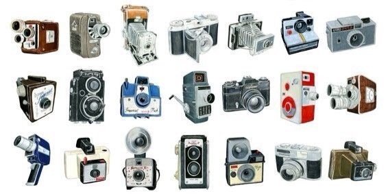 𝙿𝚊𝚕𝚘𝚖𝚊 𝙹𝚊𝚐𝚐𝚎𝚛 banner