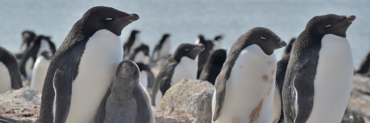 渡辺佑基 Yuuki Watanabe banner