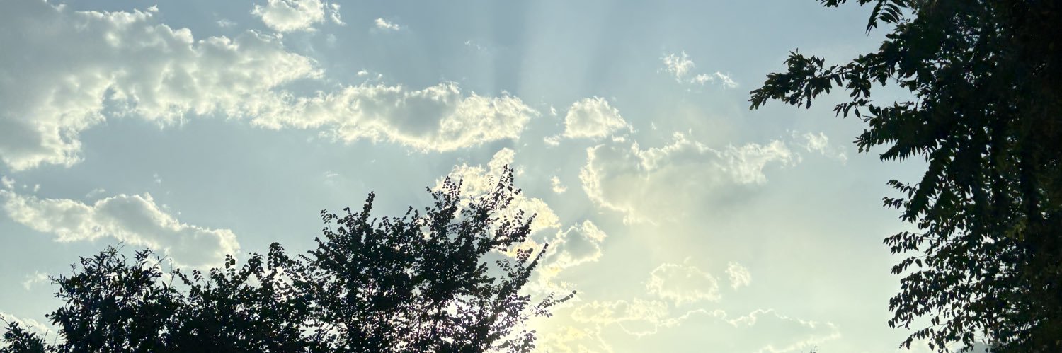 missbean_1's profile banner image