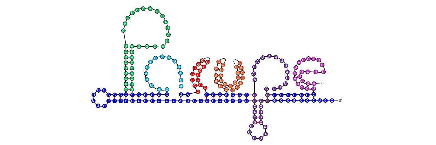 Pacupe banner