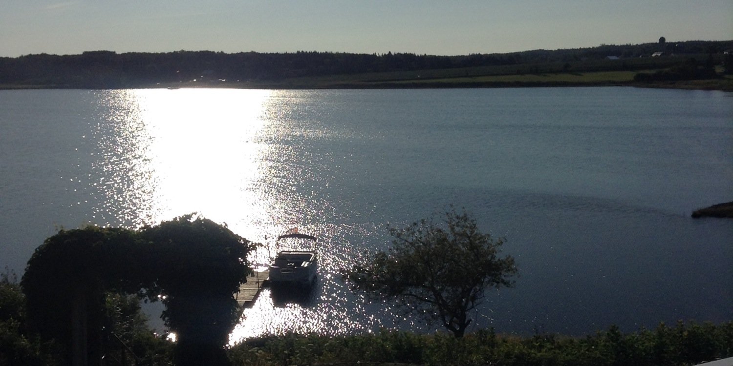 tanyamdavis1's profile banner image