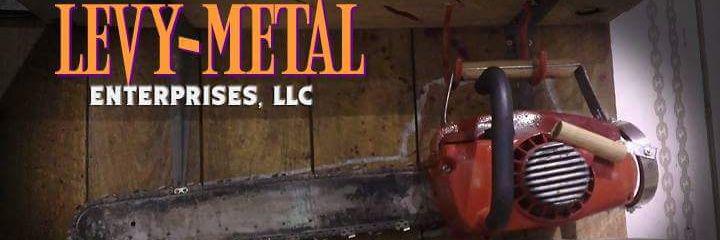 LevyMetalLewis's profile banner image