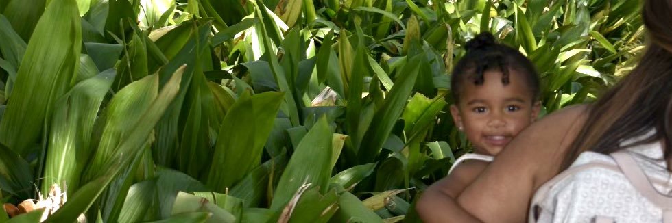 vnievess's profile banner image