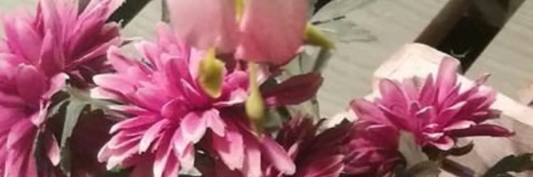 shaika3333's profile banner image