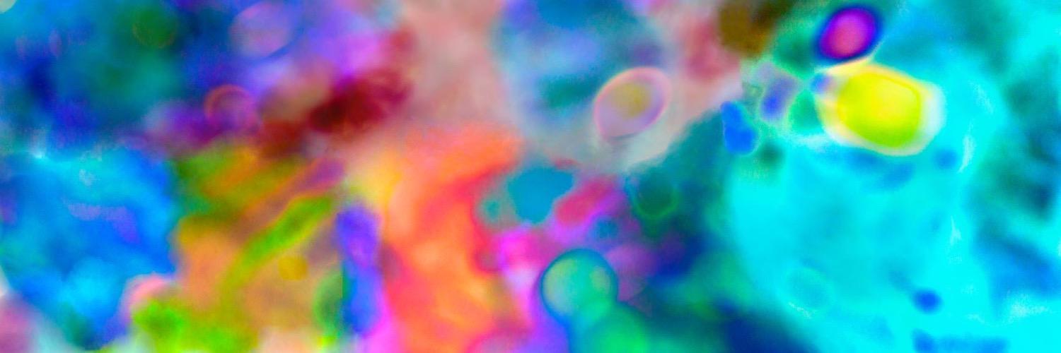 Salo Soloveichik banner