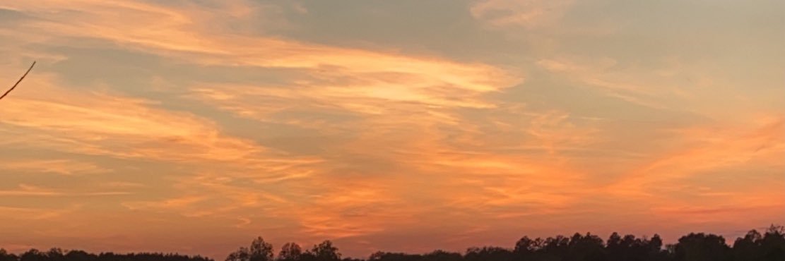 taylorhugginss's profile banner image