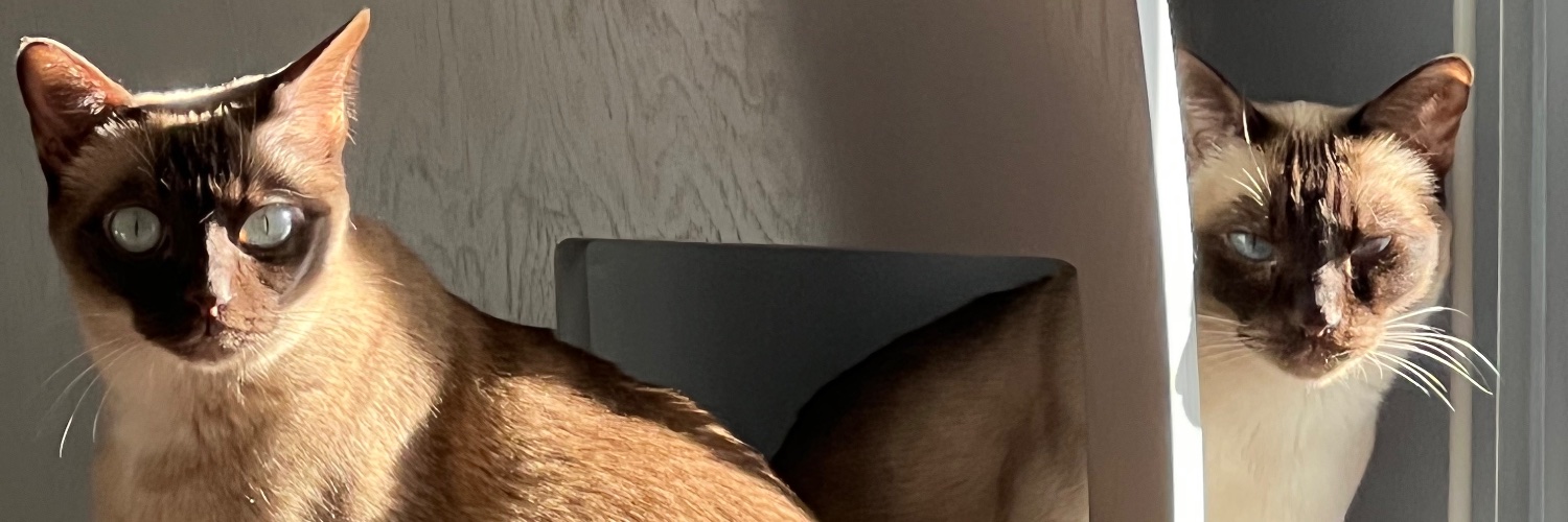 Susanfrom29's profile banner image