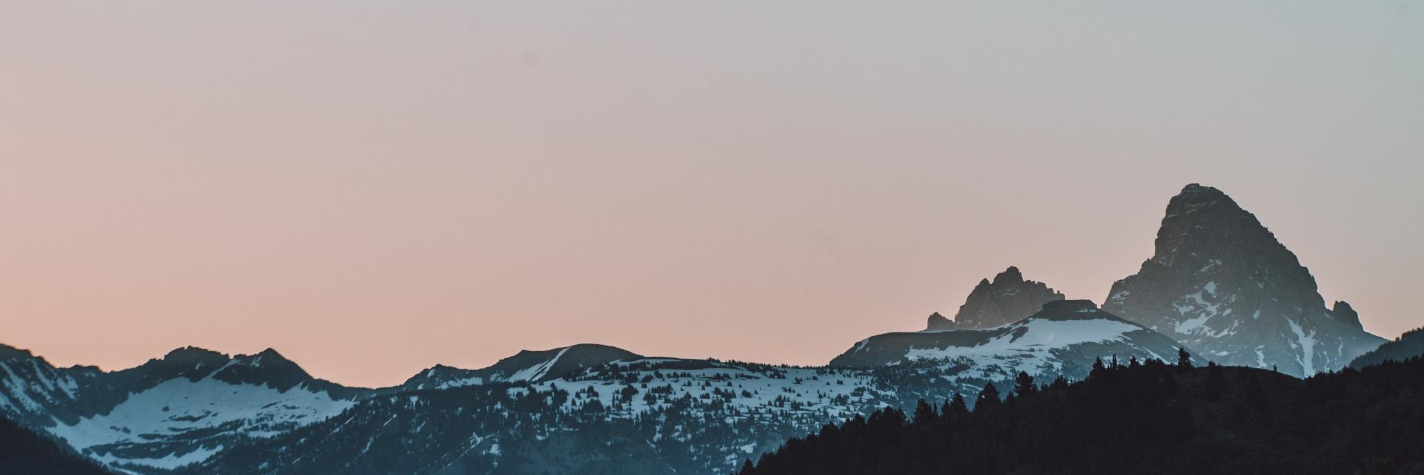 Chelsea Murphy banner