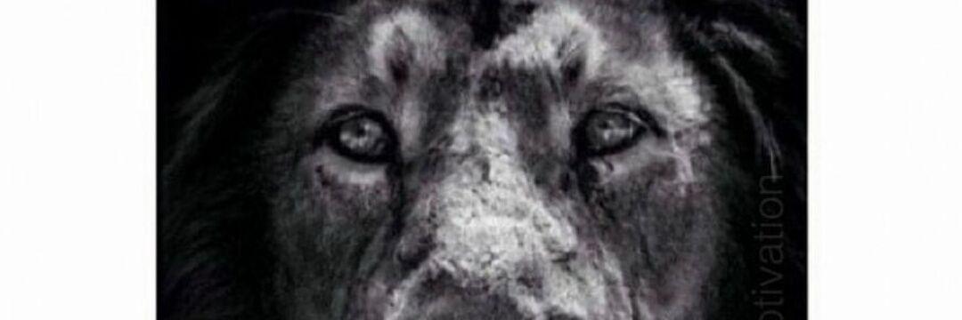 DeepTransition3's profile banner image