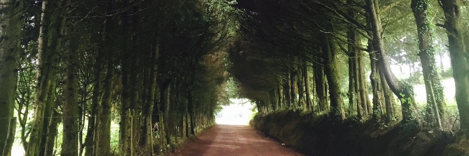 Itza_be's profile banner image