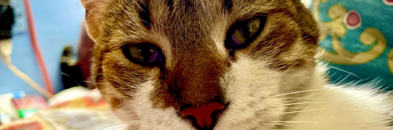 Rubendariosaez's profile banner image