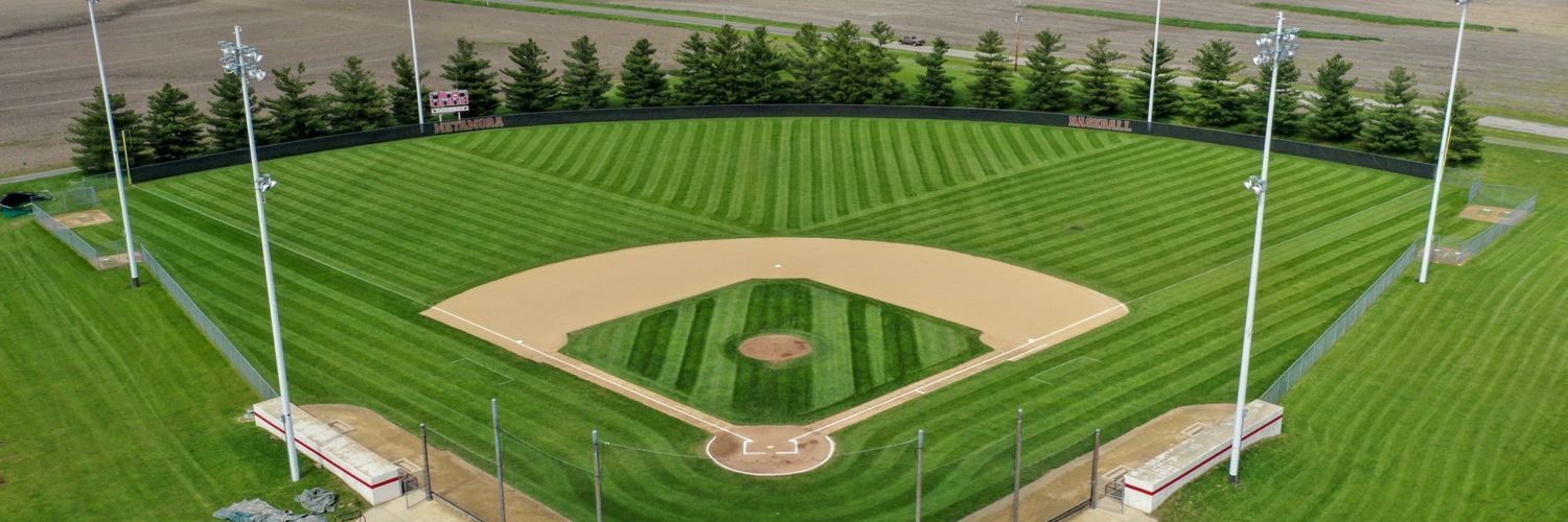 MTHS Baseball banner