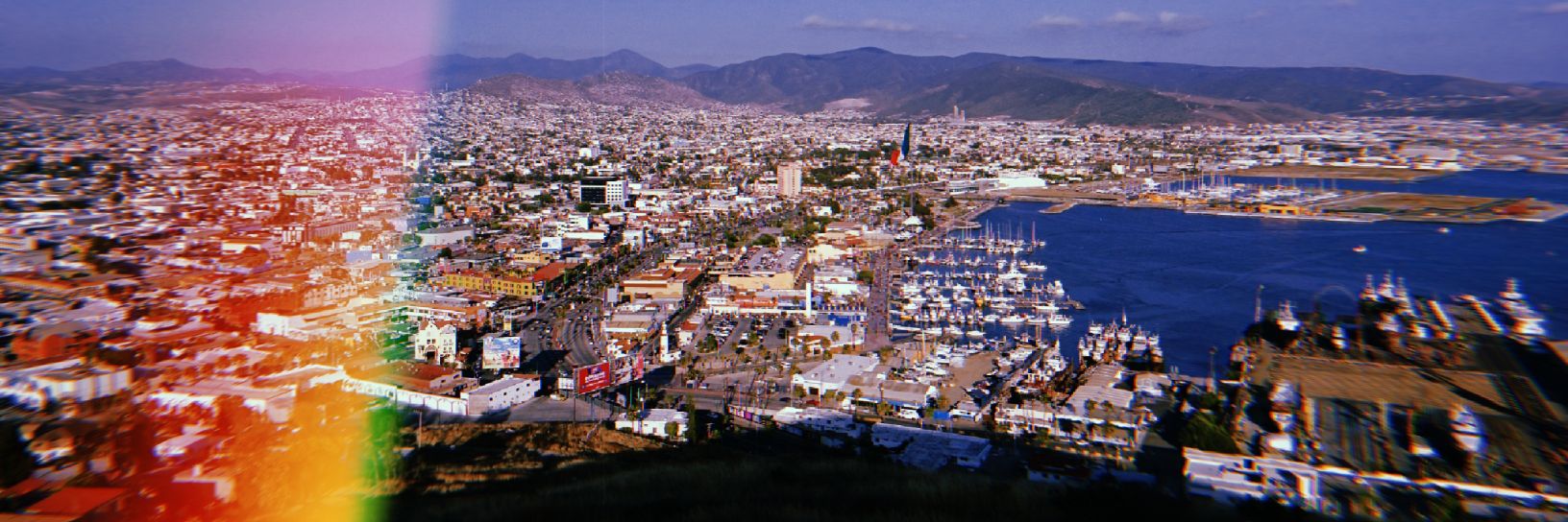 Alex banner
