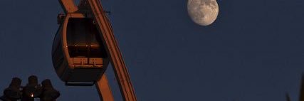 𝓙𝓮𝓵𝓵𝔂𝓑𝓮𝓪𝓻 banner
