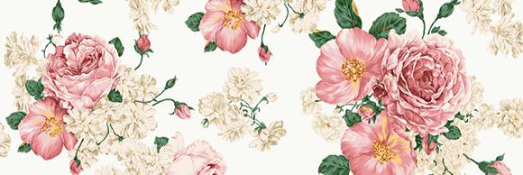 girabird's profile banner image