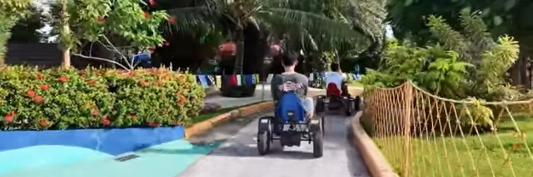 aimee 🦁ಣ✨️ banner