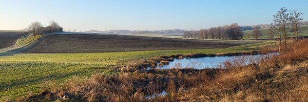 PhiWeber Profile Banner