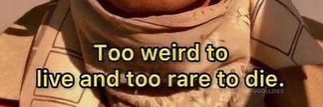 NoHeroesNoHopes banner