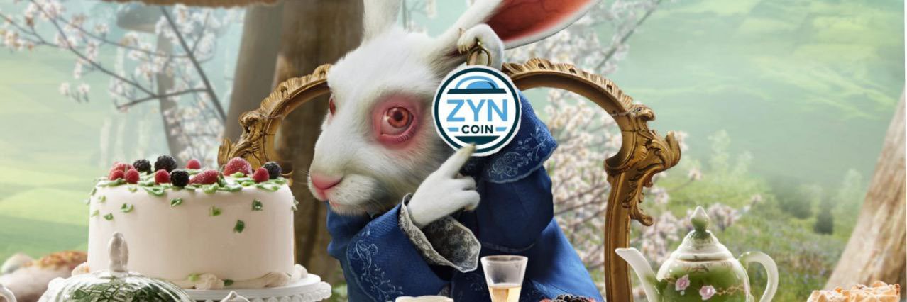 Zynsane banner