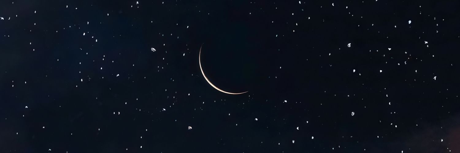 бедная лиза 🐈‍⬛'s banner