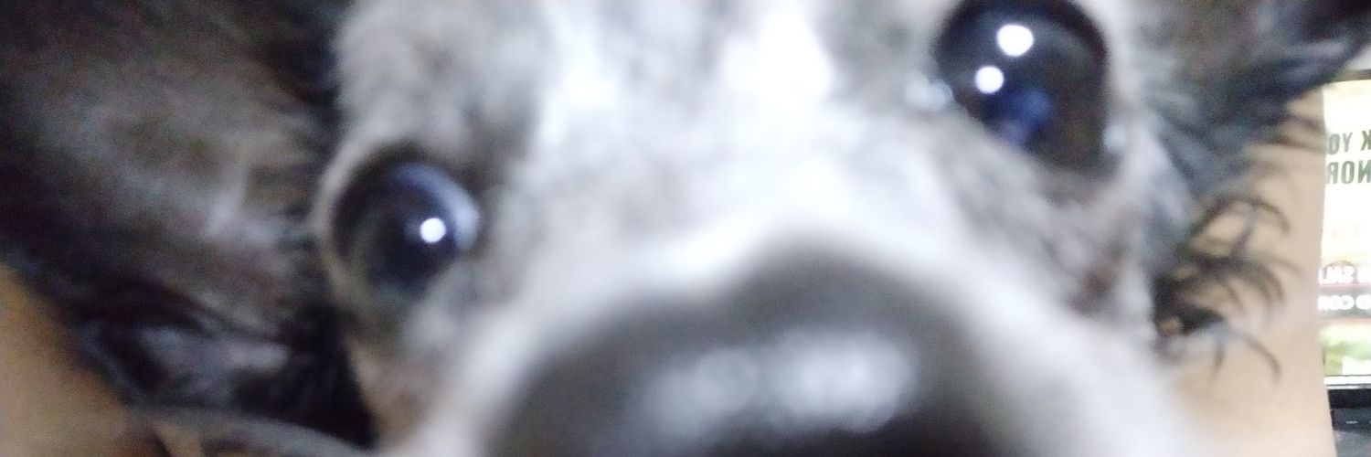maarvinatics's profile banner image