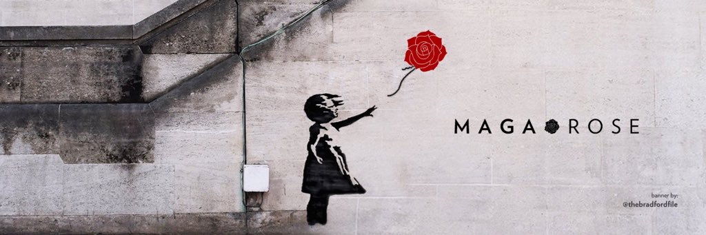 MAGArosetaylor1's profile banner image