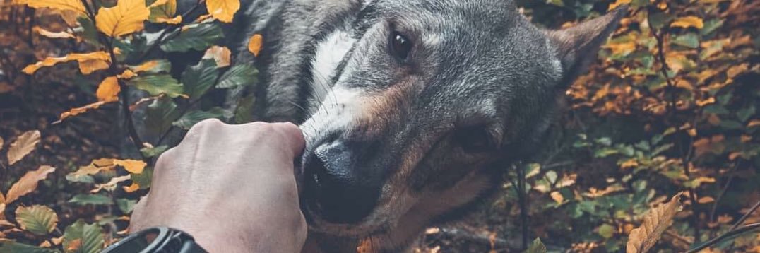 AlexWolfers's profile banner image