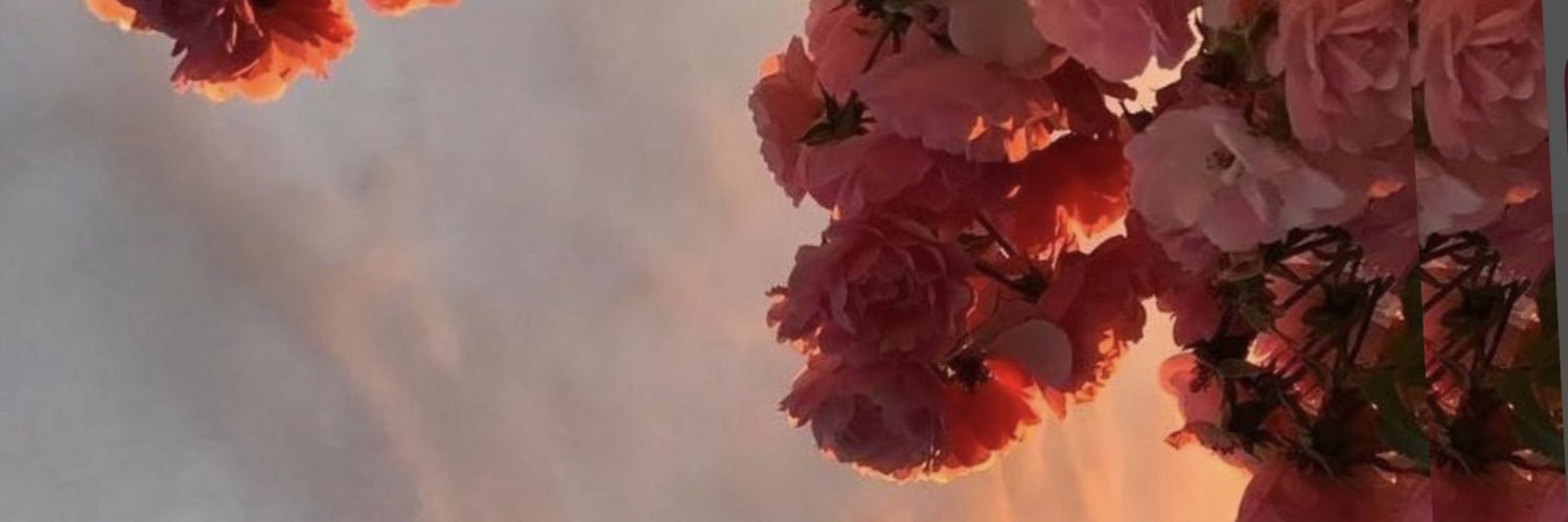ivonedm's profile banner image