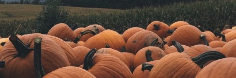 strangehouse_'s profile banner image