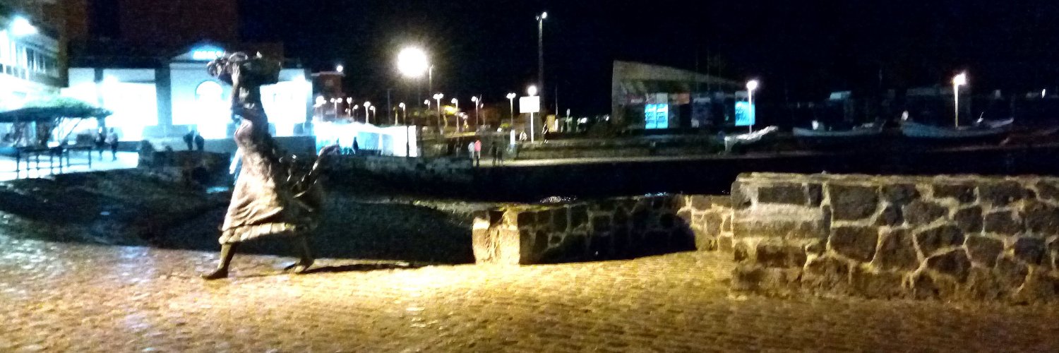 Virtual Rambling (🎮+👣+🏳️‍🌈) banner