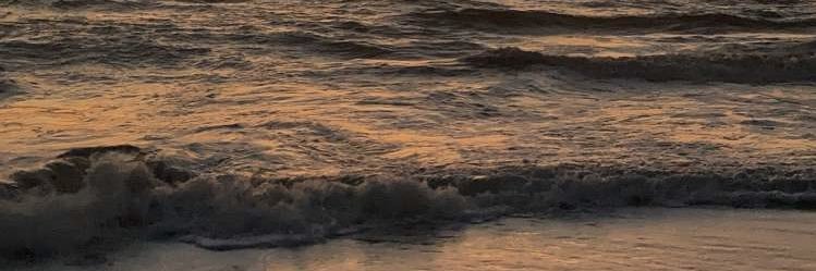 ForrestBrooks_'s profile banner image