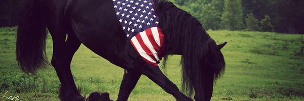 JenUSA90 Profile Banner